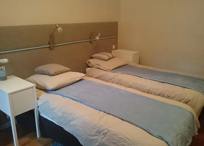 Cosy Hyper Centre - Plantagenet Appartamento Le Mans